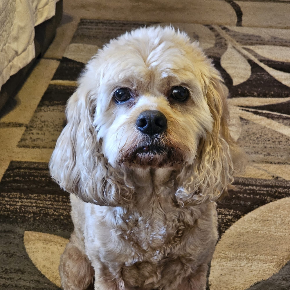 Make an offer!! All must go!!